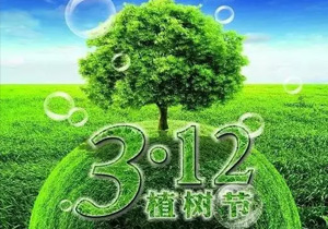 3月12日植树节,让我们一起为未来“充植”