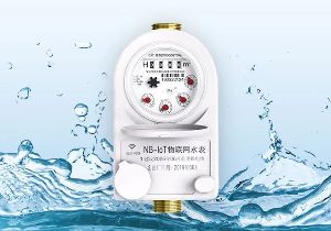 专业服务：施奈仕与成都长城开发公司携手共进