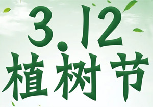 植树节：“植”此青绿，共赴春光